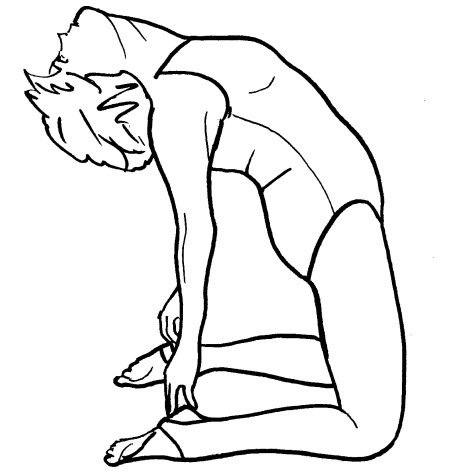 Иллюстрация к книге — Йога для всех. Путь к здоровью [i_133.jpg]