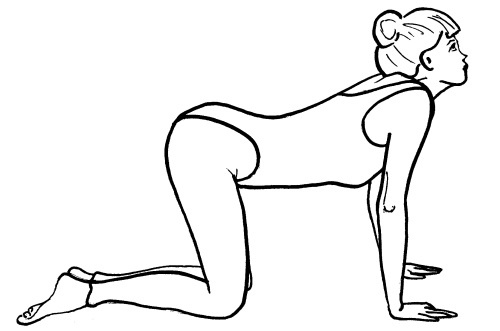 Иллюстрация к книге — Йога для всех. Путь к здоровью [i_148.jpg]