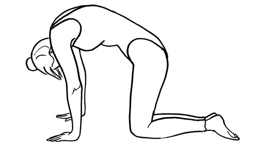 Иллюстрация к книге — Йога для всех. Путь к здоровью [i_149.jpg]