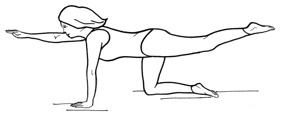 Иллюстрация к книге — Йога для всех. Путь к здоровью [i_165.jpg]