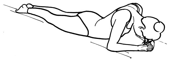 Иллюстрация к книге — Йога для всех. Путь к здоровью [i_167.jpg]