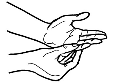 Иллюстрация к книге — Йога для всех. Путь к здоровью [i_190.jpg]