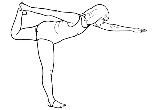 Иллюстрация к книге — Йога для всех. Путь к здоровью [i_193.jpg]