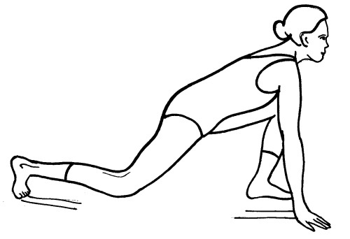 Иллюстрация к книге — Йога для всех. Путь к здоровью [i_194.jpg]