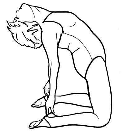 Иллюстрация к книге — Йога для всех. Путь к здоровью [i_197.jpg]