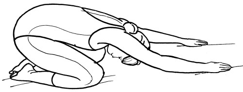 Иллюстрация к книге — Йога для всех. Путь к здоровью [i_201.jpg]