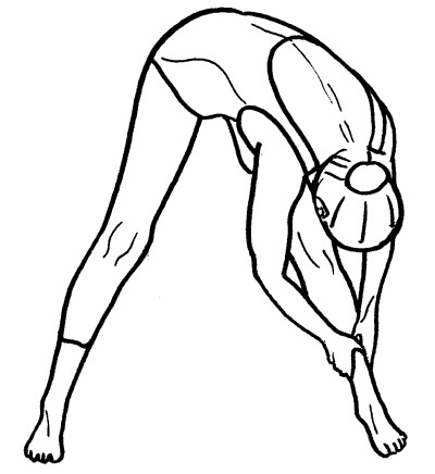 Иллюстрация к книге — Йога для всех. Путь к здоровью [i_234.jpg]