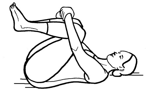 Иллюстрация к книге — Йога для всех. Путь к здоровью [i_244.jpg]