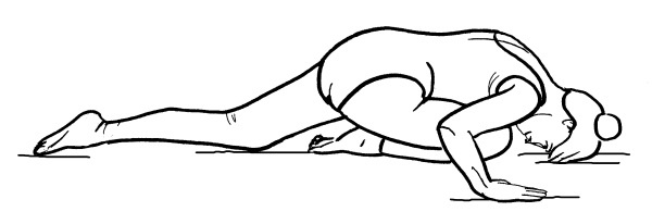 Иллюстрация к книге — Йога для всех. Путь к здоровью [i_257.jpg]