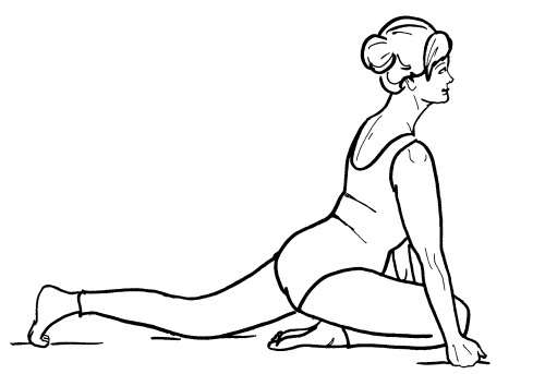 Иллюстрация к книге — Йога для всех. Путь к здоровью [i_259.jpg]