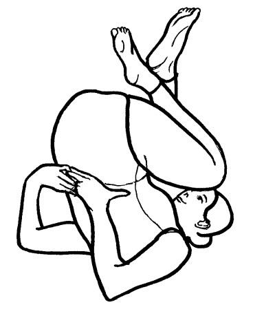 Иллюстрация к книге — Йога для всех. Путь к здоровью [i_277.jpg]