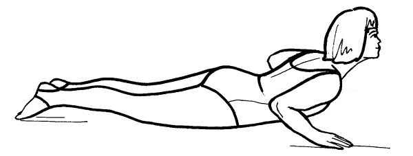 Иллюстрация к книге — Йога для всех. Путь к здоровью [i_279.jpg]