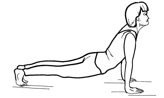 Иллюстрация к книге — Йога для всех. Путь к здоровью [i_283.jpg]