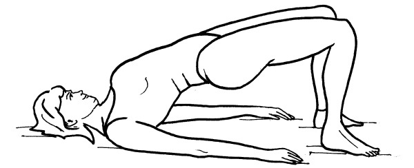 Иллюстрация к книге — Йога для всех. Путь к здоровью [i_301.jpg]