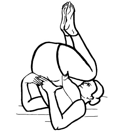 Иллюстрация к книге — Йога для всех. Путь к здоровью [i_320.jpg]