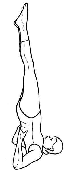 Иллюстрация к книге — Йога для всех. Путь к здоровью [i_321.jpg]