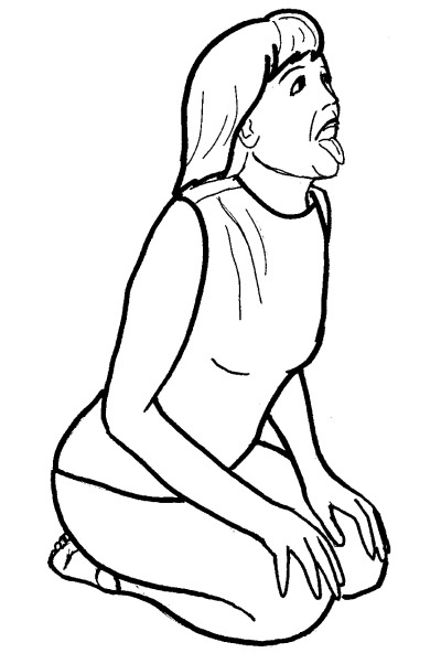 Иллюстрация к книге — Йога для всех. Путь к здоровью [i_349.jpg]