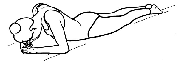 Иллюстрация к книге — Йога для всех. Путь к здоровью [i_376.jpg]