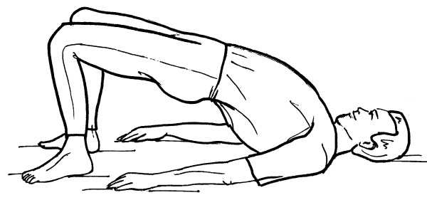 Иллюстрация к книге — Йога для всех. Путь к здоровью [i_379.jpg]