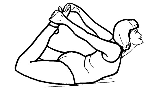 Иллюстрация к книге — Йога для всех. Путь к здоровью [i_393.jpg]