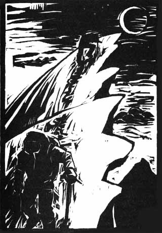 Иллюстрация к книге — В разреженном воздухе [i_016.jpg]