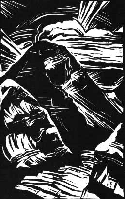 Иллюстрация к книге — В разреженном воздухе [i_027.jpg]