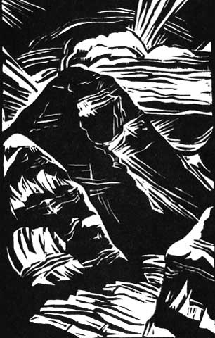 Иллюстрация к книге — В разреженном воздухе [i_034.jpg]