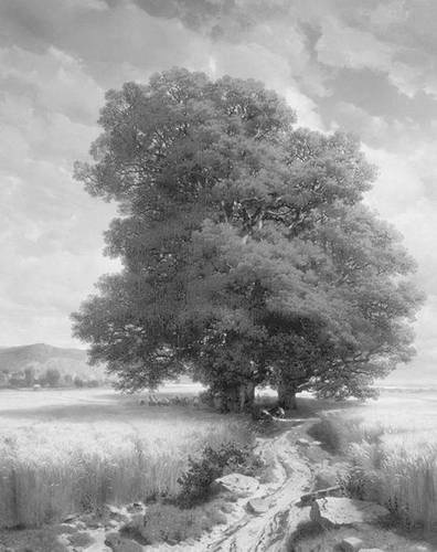 Иллюстрация к книге — Строгоновы. 500 лет рода. Выше только цари [i_130.jpg]