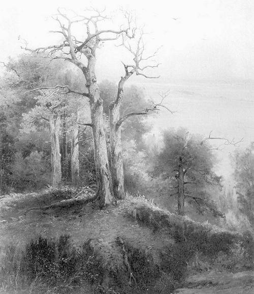 Иллюстрация к книге — Строгоновы. 500 лет рода. Выше только цари [i_159.jpg]