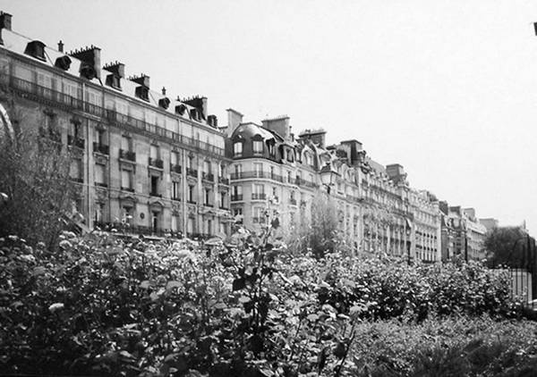 Иллюстрация к книге — Строгоновы. 500 лет рода. Выше только цари [i_250.jpg]