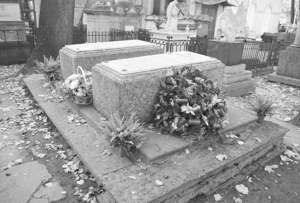 Иллюстрация к книге — Строгоновы. 500 лет рода. Выше только цари [i_261.jpg]