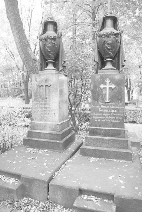 Иллюстрация к книге — Строгоновы. 500 лет рода. Выше только цари [i_264.jpg]