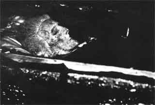 Иллюстрация к книге — Бирон [i_061.jpg]