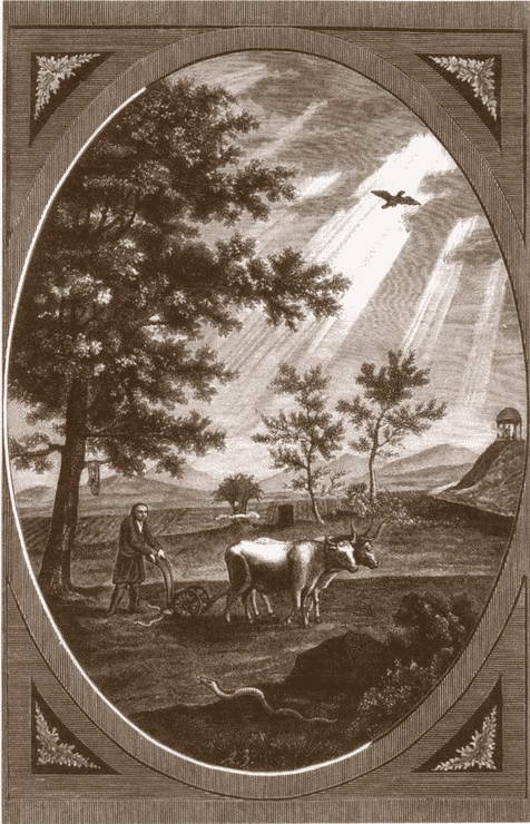 Иллюстрация к книге — Константин Павлович [i_017.jpg]