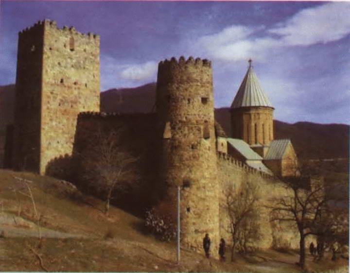 Иллюстрация к книге — Цицианов [i_054.jpg]