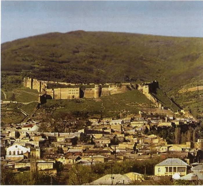 Иллюстрация к книге — Цицианов [i_069.jpg]