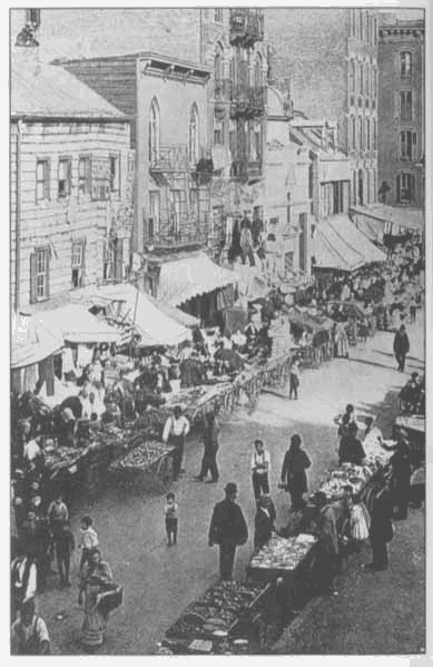 Иллюстрация к книге — Золотая страна. Нью-Йорк, 1903. Дневник американской девочки Зиппоры Фельдман [i_007.jpg]