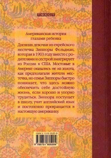 Иллюстрация к книге — Золотая страна. Нью-Йорк, 1903. Дневник американской девочки Зиппоры Фельдман [i_017.jpg]