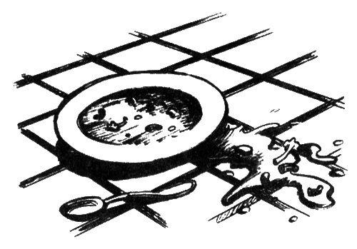 Иллюстрация к книге — Гении без штанов [i_003.jpg]