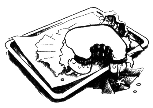 Иллюстрация к книге — Гении без штанов [i_011.jpg]