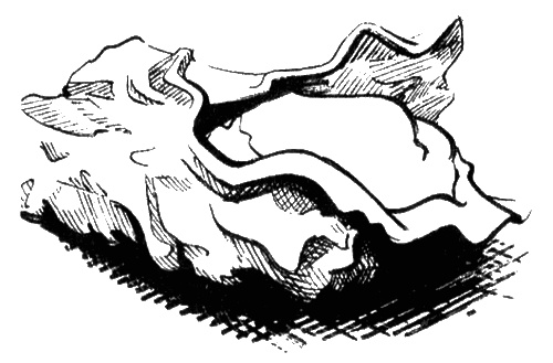 Иллюстрация к книге — Гении без штанов [i_012.jpg]