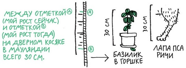 Иллюстрация к книге — Удивительные приключения запредельно невероятной, исключительно неповторимой, потрясающей, ни на кого не похожей Маулины Шмитт. Часть 2. В ожидании чуда [image_4.jpg]