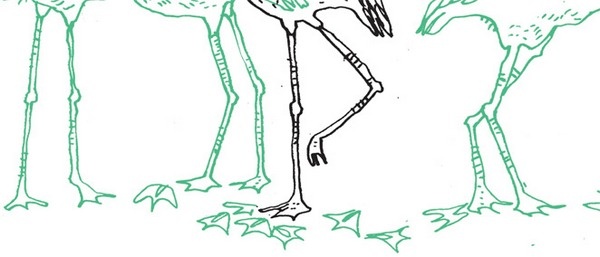 Иллюстрация к книге — Удивительные приключения запредельно невероятной, исключительно неповторимой, потрясающей, ни на кого не похожей Маулины Шмитт. Часть 2. В ожидании чуда [image_78.jpg]