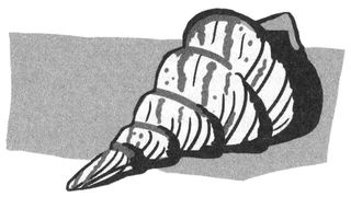 Иллюстрация к книге — Поезд пишет пароходу [i_023.jpg]