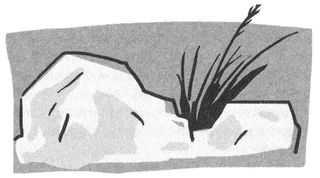 Иллюстрация к книге — Поезд пишет пароходу [i_024.jpg]