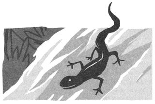 Иллюстрация к книге — Поезд пишет пароходу [i_025.jpg]