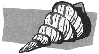 Иллюстрация к книге — Поезд пишет пароходу [i_026.jpg]