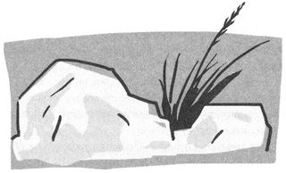 Иллюстрация к книге — Поезд пишет пароходу [i_027.jpg]