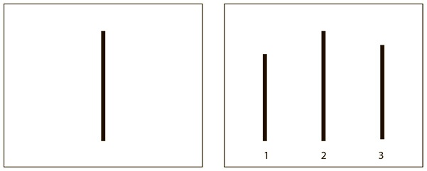 Иллюстрация к книге — Начинай с малого. Научно доказанная система достижения больших целей [i_001.jpg]