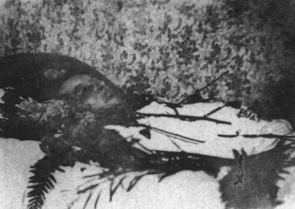 Иллюстрация к книге — Оскар Уайльд [i_034.jpg]